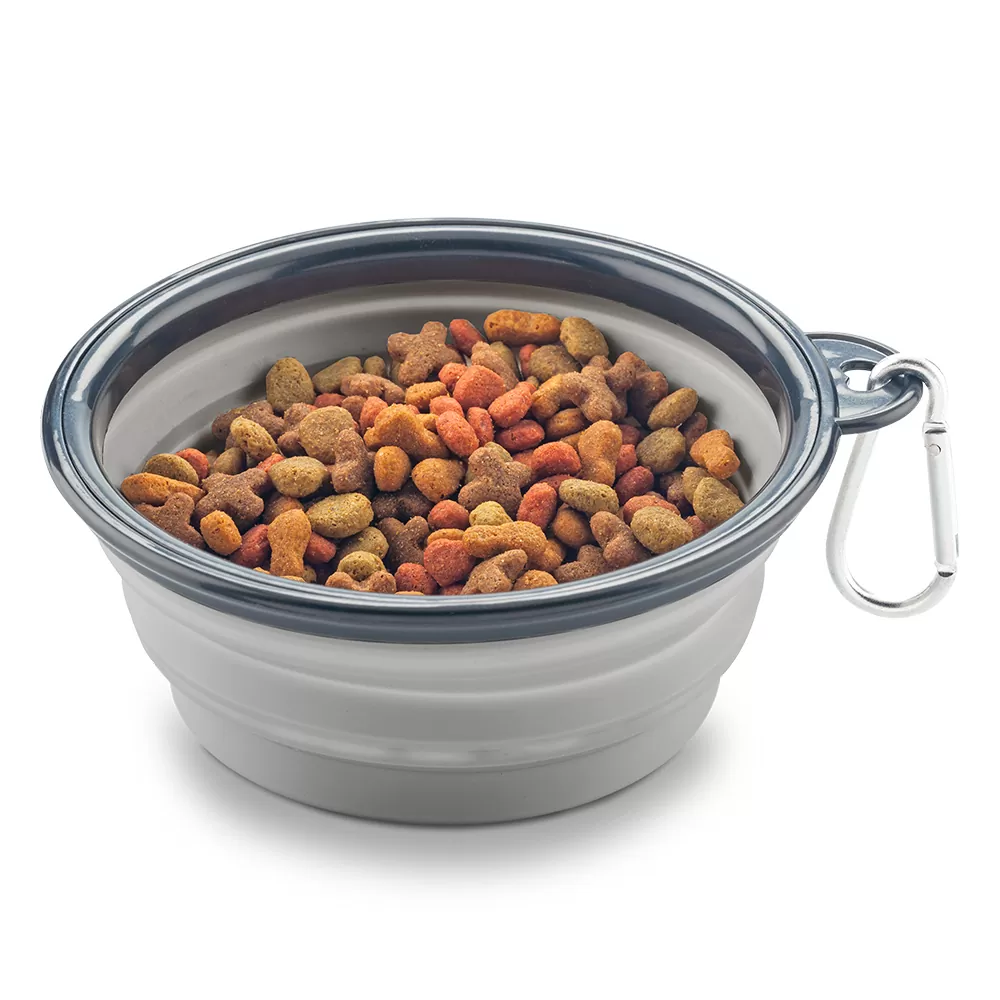 Bowl para Mascota 0