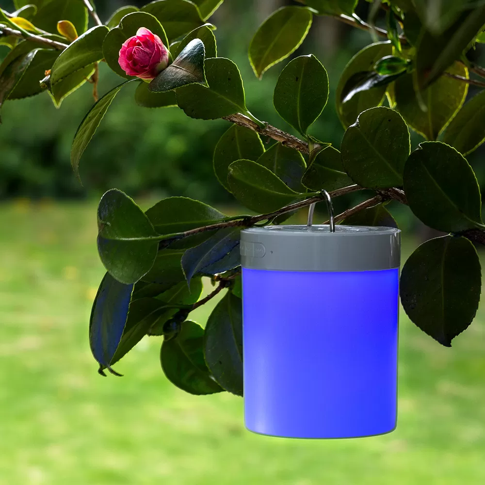 Speaker Bluetooth Rainbow 2