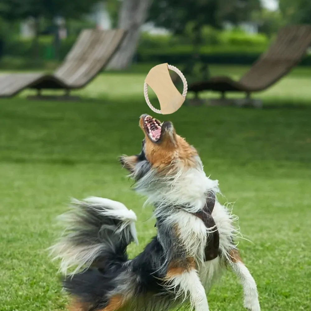 Juego para Mascotas 0